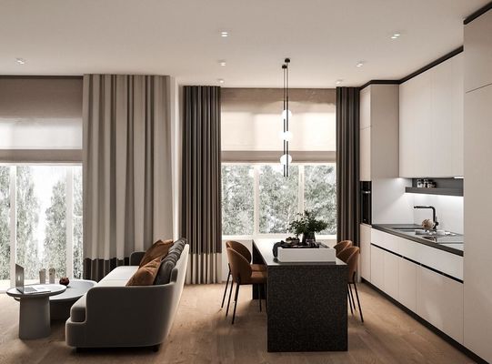 stylish Fitted EB Board Kitchen Cabinets White And Black Modern Customized