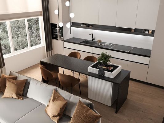 stylish Fitted EB Board Kitchen Cabinets White And Black Modern Customized