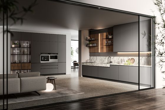 Customized PET Kitchen Cabinets Modern Gray Kitchen Cabinet With Winecase