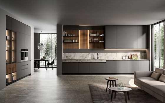 Customized PET Kitchen Cabinets Modern Gray Kitchen Cabinet With Winecase