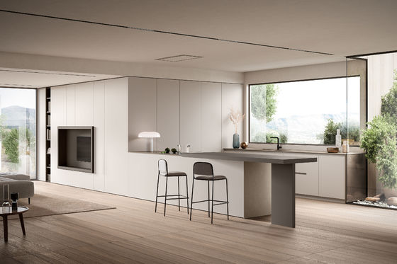 Tailored Modern Kitchen Cabinet White Lacquer Kitchen Set And TV Cabinet Customized