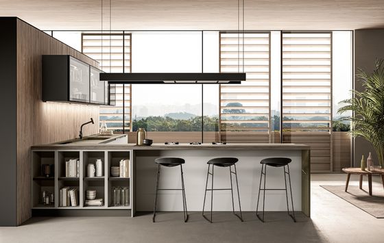 Modern Sleek PET Kitchen Cabinets Wood Veneer Customized