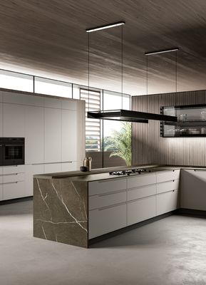 Modern Sleek PET Kitchen Cabinets Wood Veneer Customized