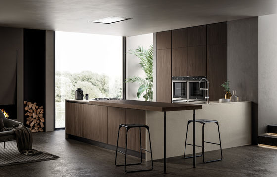 Tailored Modern Wood Veneer Kitchen Cabinets System Customized With Storage Cabinet