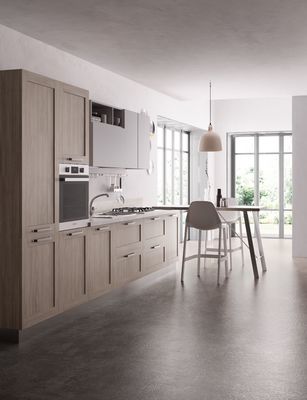 Tailored PET Retro Kitchen Cabinets Customized Kitchen System Stainless Steel Handle