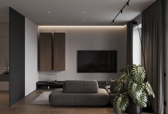 Minimalist Customized Living Room Design With Wooden Storage Cabinet