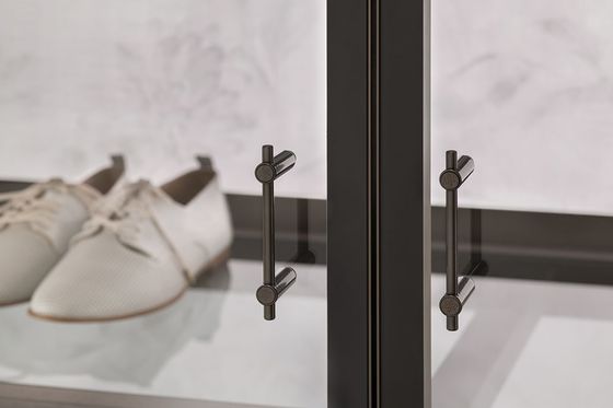 Tailored Modern Custom Walk In Closet Wardrobe With Glass Door Penal