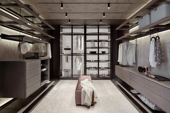 Tailored Modern Custom Walk In Closet Wardrobe With Glass Door Penal