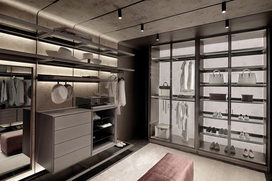 Tailored Modern Custom Walk In Closet Wardrobe With Glass Door Penal