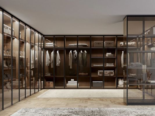 Customized Modern Wardrobe EB Closet with Glass Doors