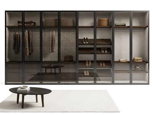 Fitted Modern Glass Wardrobe with Display Shelf Industrial Style Closet