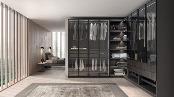 Fitted Walk-in Wardrobe with Shoe Rack Customized Glass Door Closet