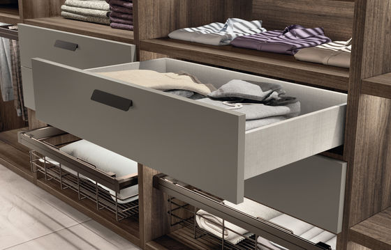 Fitted Walk-in Wardrobe with Shoe Rack Customized Glass Door Closet