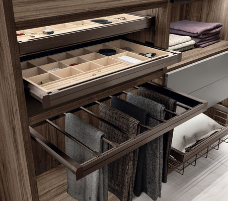 Fitted Walk-in Wardrobe with Shoe Rack Customized Glass Door Closet