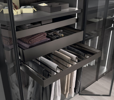 Fitted Walk-in Wardrobe with Shoe Rack Customized Glass Door Closet