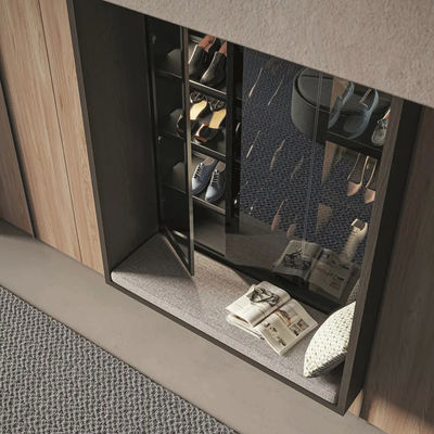 Custom L-shaped wardrobe with Shoe Cabinet Personalized PET Wardrobe Closet