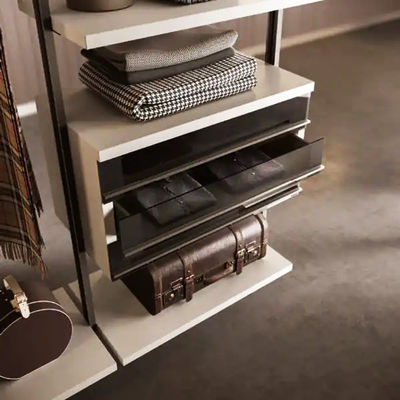 Cheap Modern Design Furniture Walk-in Large Wardrobe Storage Closet