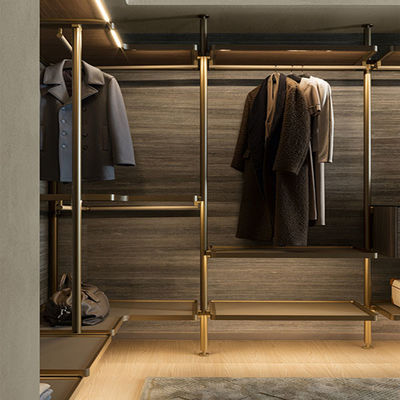 Luxury Modern Walk-in Clothes Organizer Closet Storage Cabinet Wardrobe with Glass Door for Room