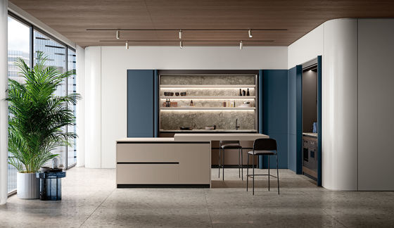 Custom Full Luxury Cabinets Kitchen Furniture Design Kitchen Cabinet Modern Kitchen Cabinet