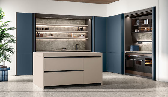 Custom Full Luxury Cabinets Kitchen Furniture Design Kitchen Cabinet Modern Kitchen Cabinet