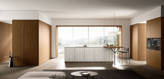 custom kitchen cabinets modern kitchen furniture design kitchen cabinet