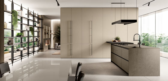 Factory Custom Kitchen Cabinet New Model Kitchen Furniture