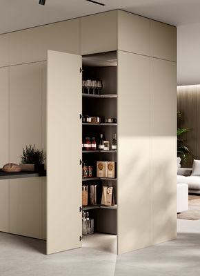 Factory Custom Kitchen Cabinet New Model Kitchen Furniture