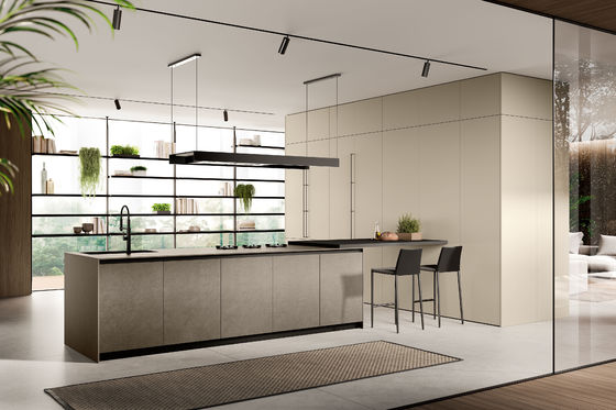 Factory Custom Kitchen Cabinet New Model Kitchen Furniture