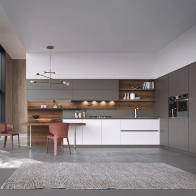 Contemporary Custom Particle Board Lacquer Kitchen Cabinet Residential Indoor Kitchen Cabinets For Hotel