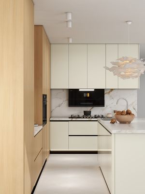 Smart Home And Kitchen Customized Modern Storage Furniture Eb Board Shaker Kitchen Cabinet For Hotel