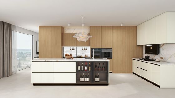 Smart Home And Kitchen Customized Modern Storage Furniture Eb Board Shaker Kitchen Cabinet For Hotel