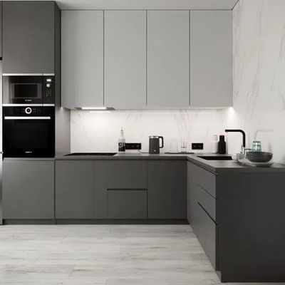 Professional Design Modern Modular Customized Lacquer Paint Mat Finish Kitchen Cabinets