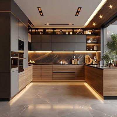 Professional Design Modern Modular Customized Lacquer Paint Mat Finish Kitchen Cabinets