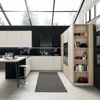 Professional Hotel Kitchen Cabinet Wooden Lacquer Kitchen Cabinet