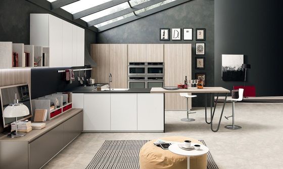 Professional Hotel Kitchen Cabinet Wooden Lacquer Kitchen Cabinet