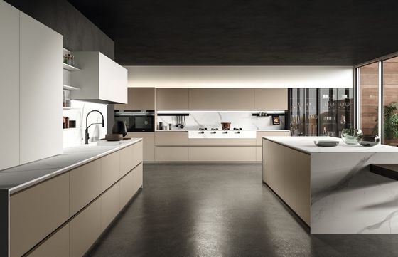 RTA High End Kitchen Cabinet And Furniture Light Luxury Made For Household