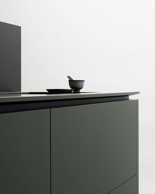 Wood Lacquer Kitchen Cabinet Modern Design Kitchen Cabinets For House