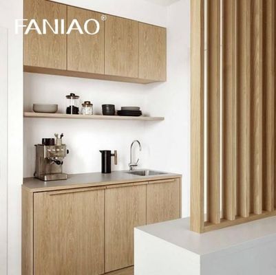 Simple Functional Kitchen Cabinet Mini Kitchenette for Apartment Project