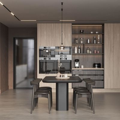 OEM New Modern Matte Finished Luxury Villa Lacquer Kitchen Cabinets