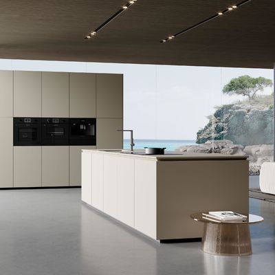 Modern Style Cabinet  Full Set Designs Complete Minimalist Lacquer Kitchen Cabinets