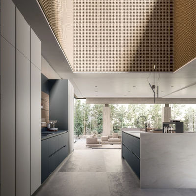 Maximize Your Kitchen Space With Wood Veneer Kitchen Cabinet From Expert Maker