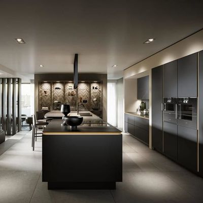 Custom Modern Flat-Pack 3D Kitchen Cabinets Free Shipping High-Rise Architect-Specified Joinery With Glass Door Sink Bulk Order