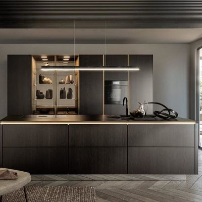 Custom Modern Flat-Pack 3D Kitchen Cabinets Free Shipping High-Rise Architect-Specified Joinery With Glass Door Sink Bulk Order