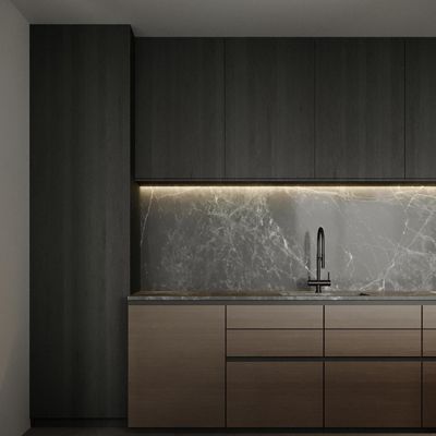 Custom Modern Gold PET Island Kitchen Cabinet High Quality Complete Modular Glass MDF Faucet Hinge Drawer Basket