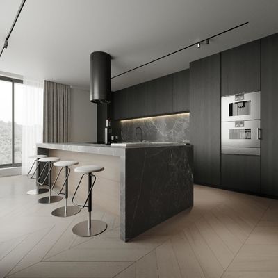 Custom Modern Gold PET Island Kitchen Cabinet High Quality Complete Modular Glass MDF Faucet Hinge Drawer Basket