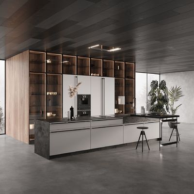 Customized Design European Style Modern Luxury Fireproof and Water Proof Stainless Steel Kitchen Cabinets