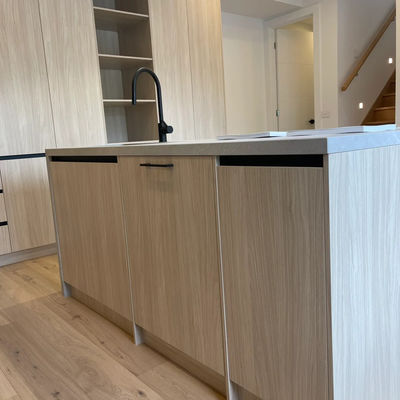 Compact Recycled Kitchen Cabinets Customizable Whole House Design Antifungal Feature Apartment House