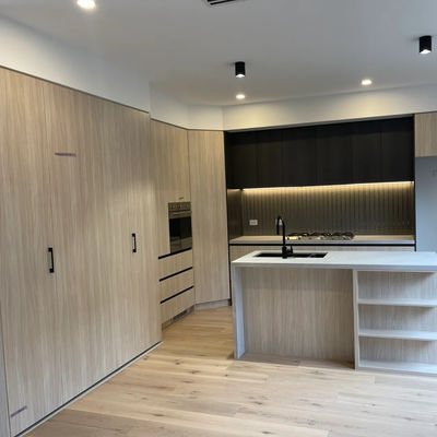 Compact Recycled Kitchen Cabinets Customizable Whole House Design Antifungal Feature Apartment House