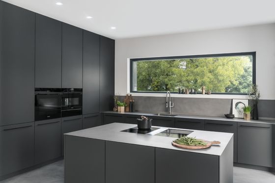 Automatic Stainless Steel Storage Cabinet Kitchen Pantry Cupboard Outdoor Kitchen Set Kitchen Furniture