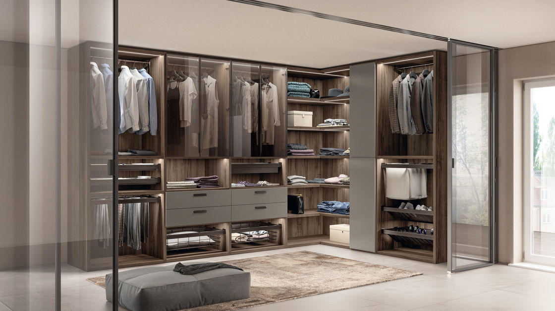 Fitted Walk-in Wardrobe with Shoe Rack Customized Glass Door Closet
